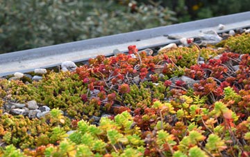 the cost of Reed green roof installation